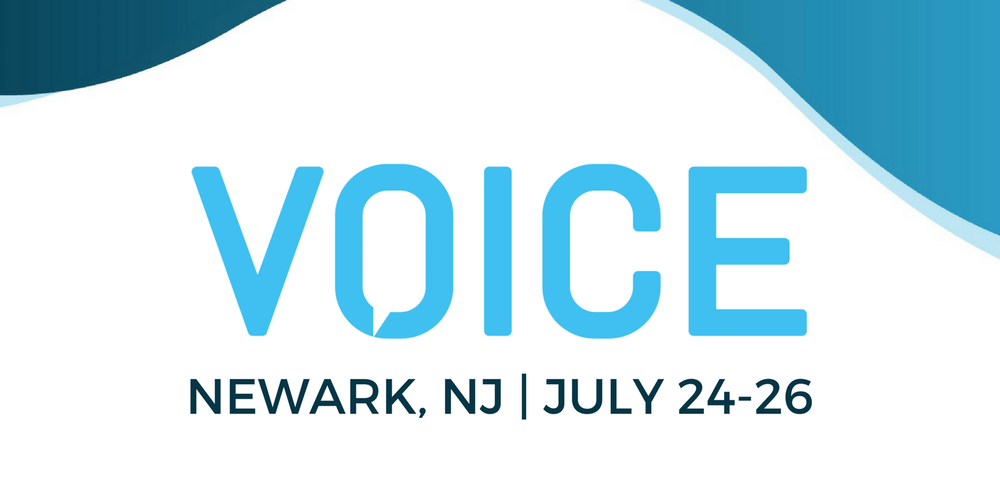Voice Summit July 2018 image